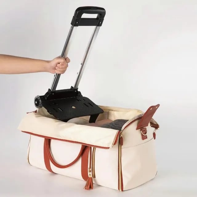 🎁 Hot Sale 49% Off🔥 ✨Foldable Travel Bag 2.0