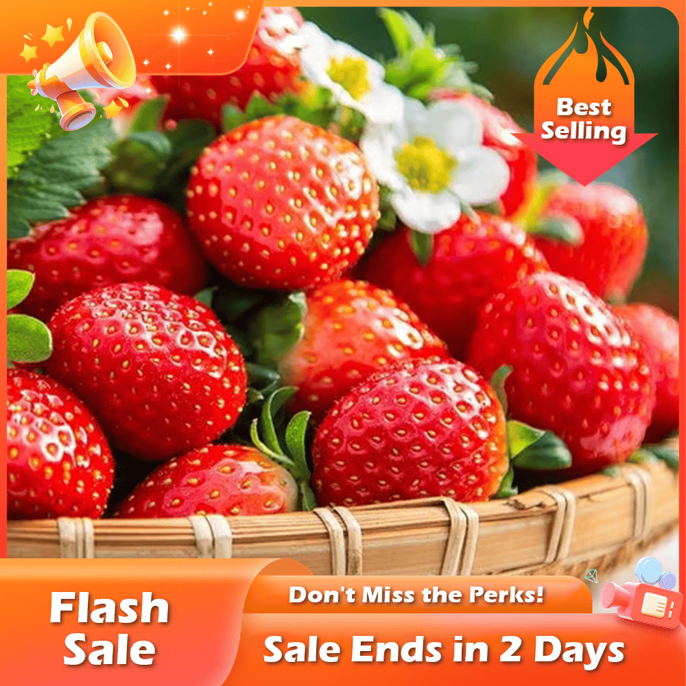 🏆Flash Sale⚡ 50K+ SOLD! Almost Gone-💥🔥All-year-round strawberry seeds🍓,Best Gifts