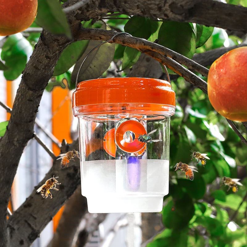 🔥✨Bee & Wasp Trap