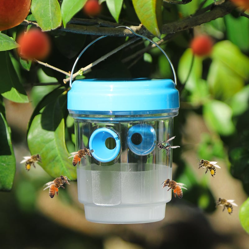 🔥✨Bee & Wasp Trap