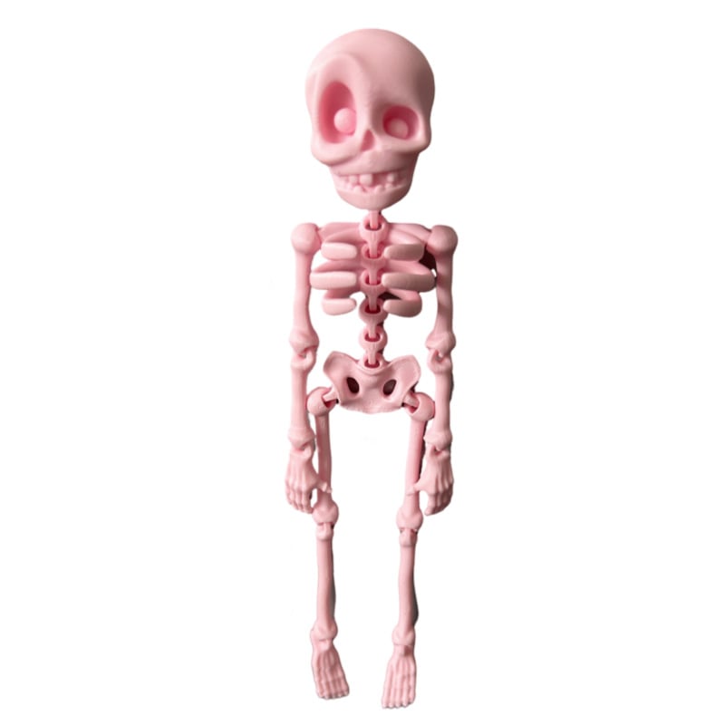 💀 Skeleton Refrigerator Magnet