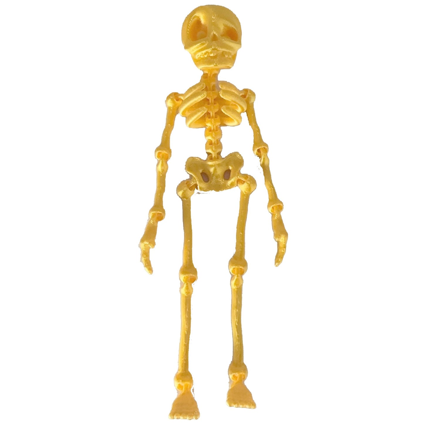 💀 Skeleton Refrigerator Magnet