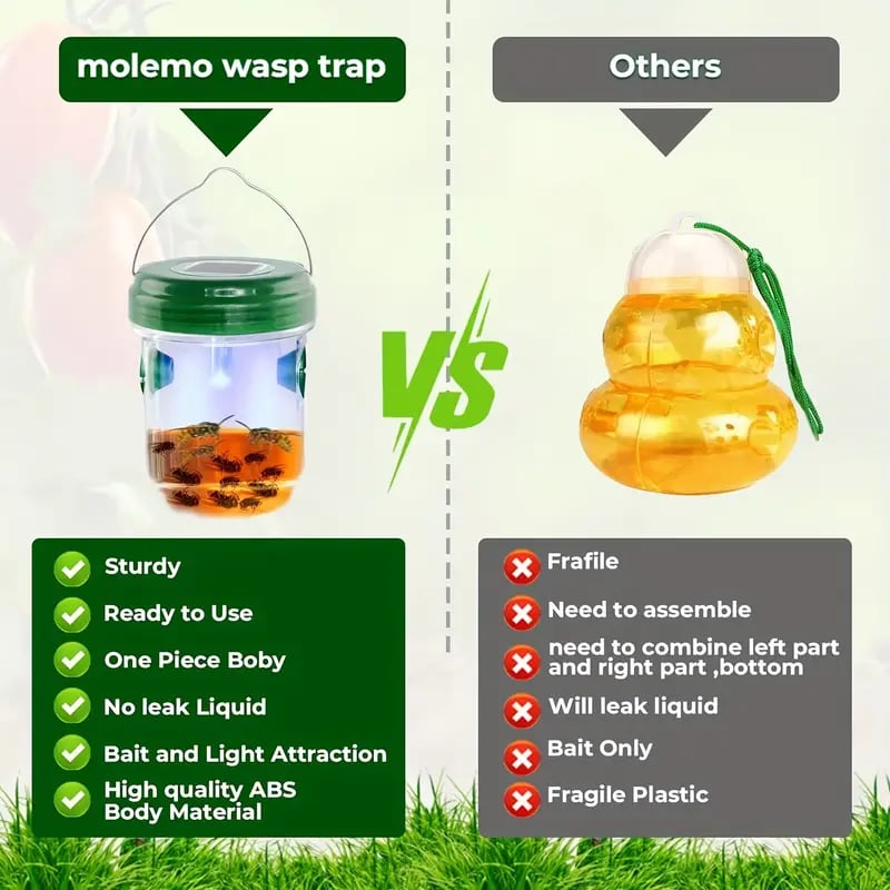 🔥✨Bee & Wasp Trap