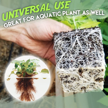 🔥Buy 10 Get 10 Free🔥🍀 FastGrow Rapid Rooting Agent🌱