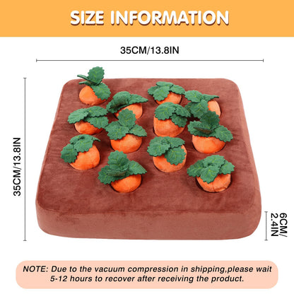🐶Carrot Farm Dog Toy