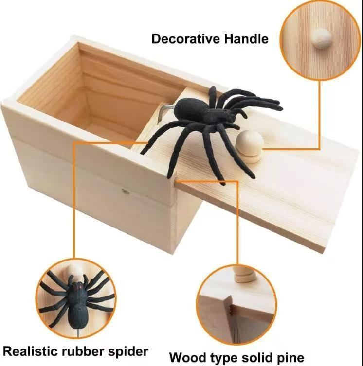 🕷️Startle Spider Box - A Gift Full of Surprises~