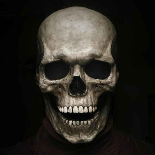 🔥Last Day 49% Off🎃Full Skull Mask 💀