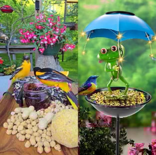🏆Flash Sale⚡ 50K+ SOLD! Almost Gone-💥Solar-Powered LED Animal Umbrella Light with Bird Feeder(Frog/Bee/Flamingo)