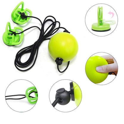 Fight Ball Reflex Trainer
