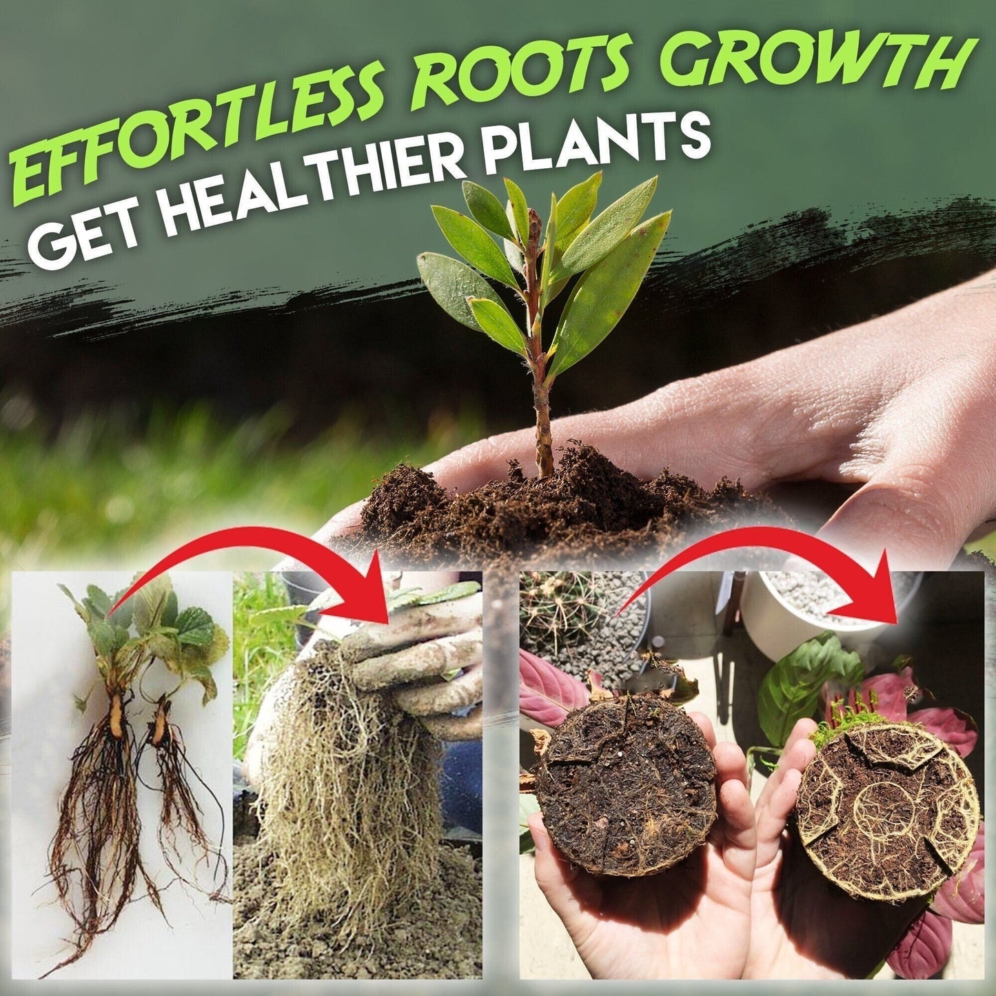 🔥Buy 10 Get 10 Free🔥🍀 FastGrow Rapid Rooting Agent🌱