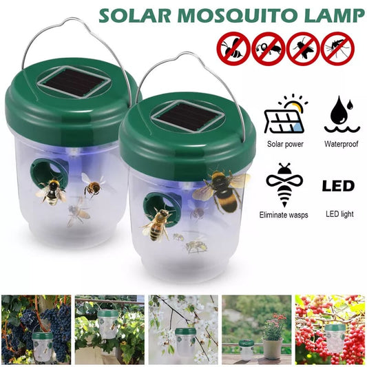 🔥✨Bee & Wasp Trap