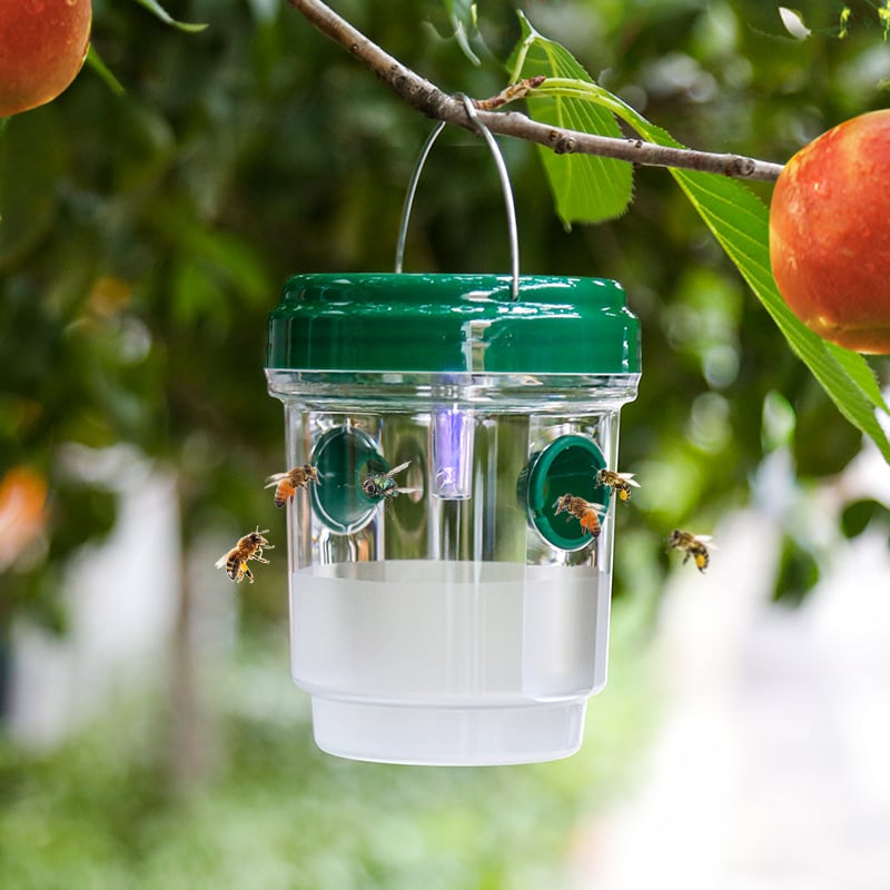 🔥✨Bee & Wasp Trap