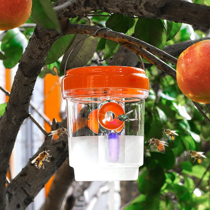 🔥✨Bee & Wasp Trap