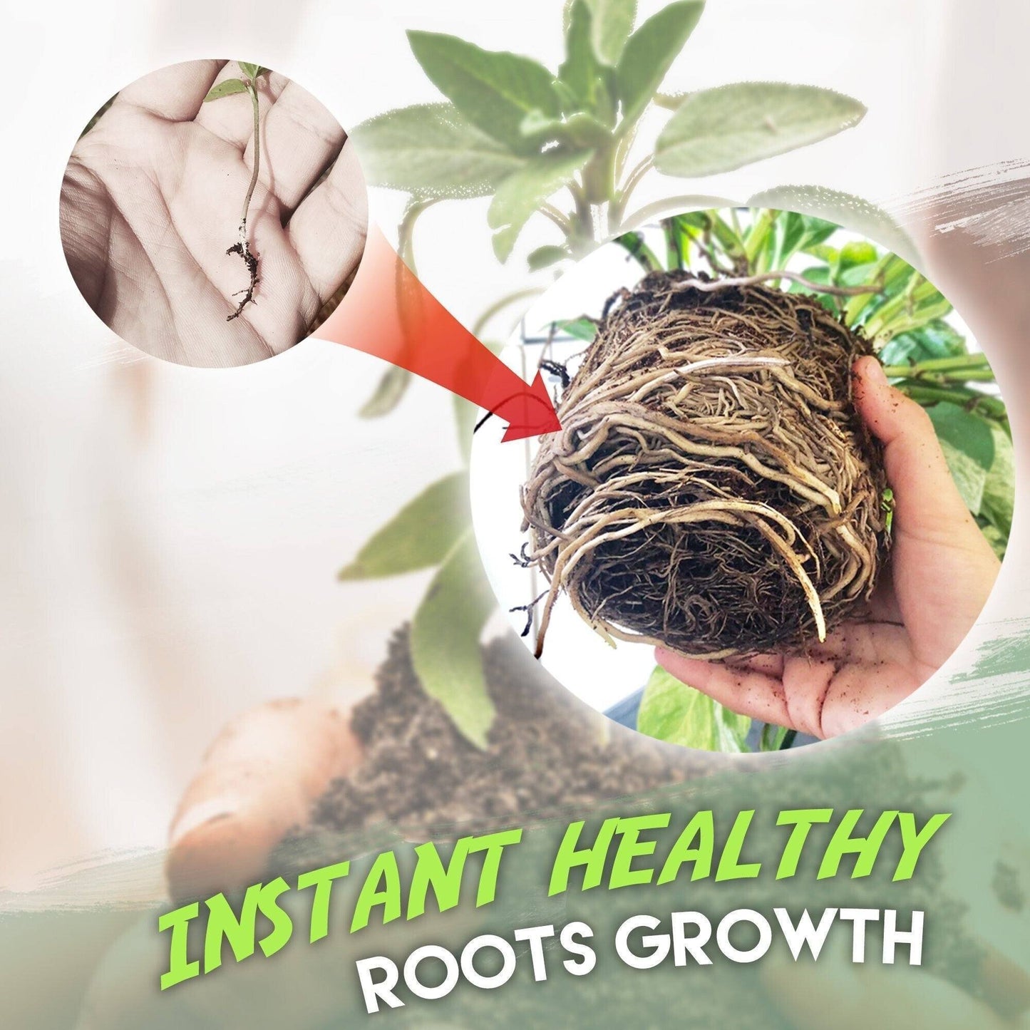 🔥Buy 10 Get 10 Free🔥🍀 FastGrow Rapid Rooting Agent🌱