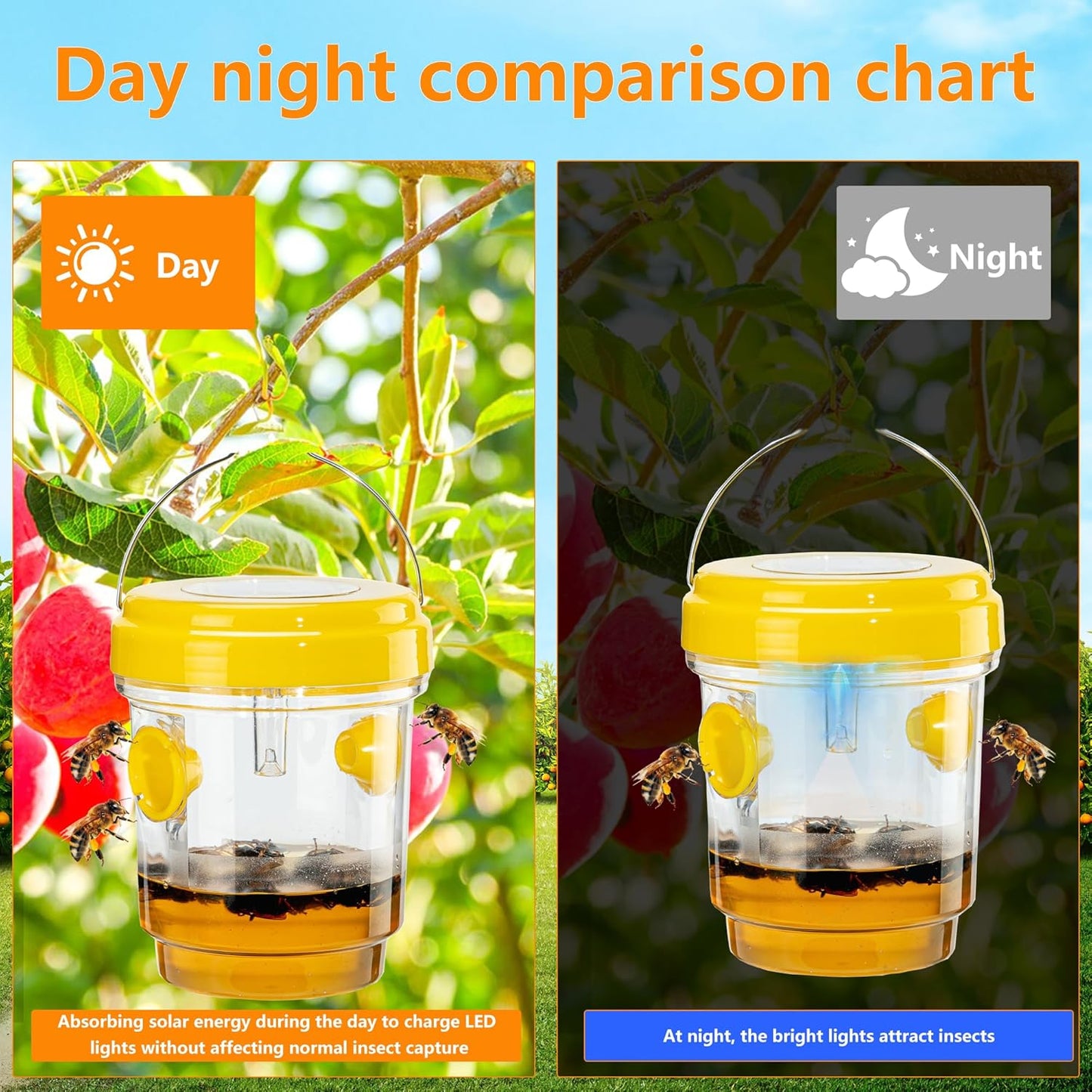 🔥✨Bee & Wasp Trap