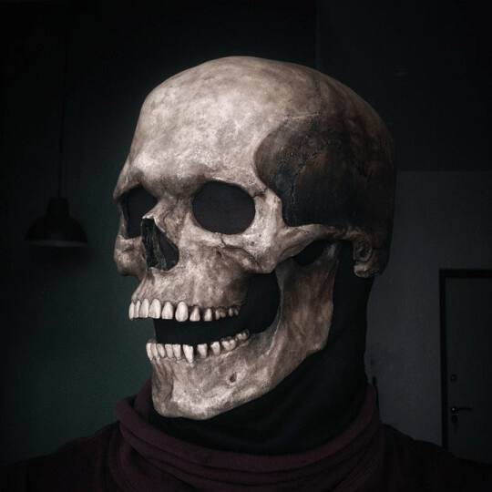 🔥Last Day 49% Off🎃Full Skull Mask 💀