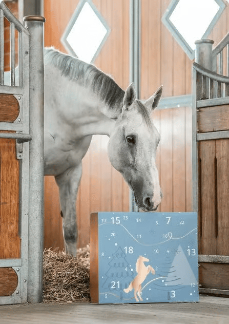 HORSE Advent Calendar 2025