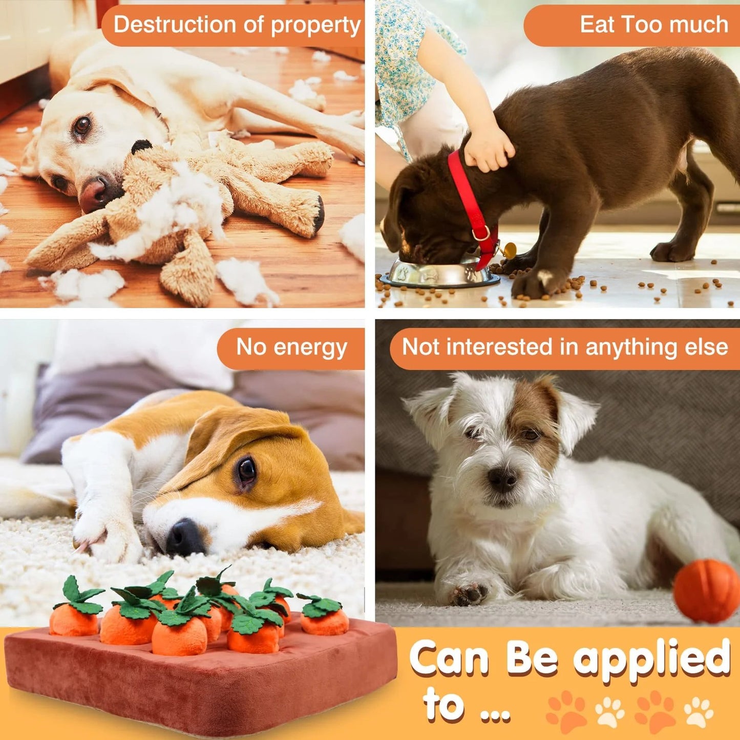 🐶Carrot Farm Dog Toy