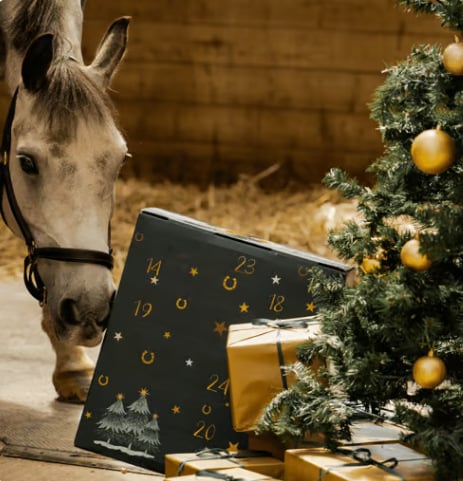 HORSE Advent Calendar 2025